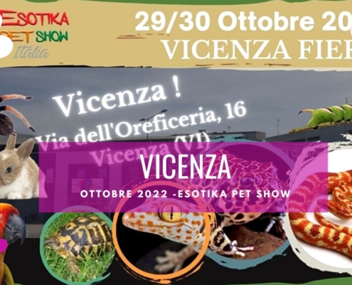 fiera animali vicenza esotika pet show