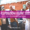 esposizioni feline 2023 calendario expo feline 2023