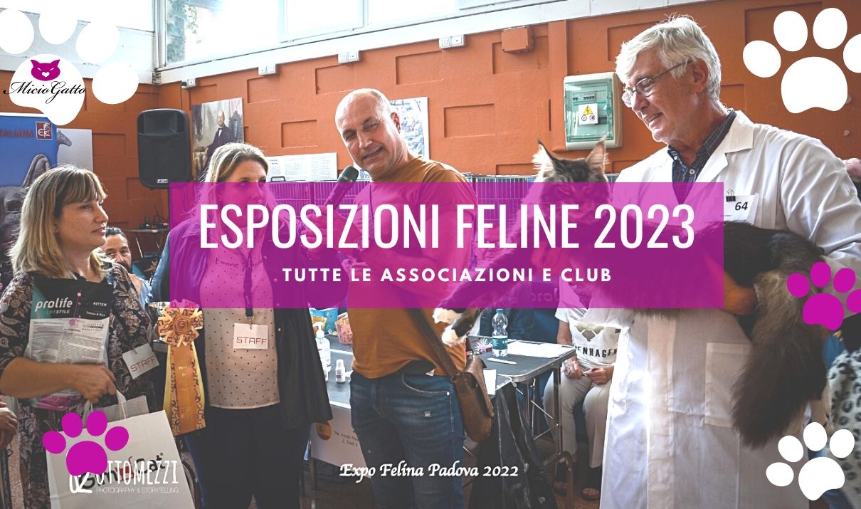Expo feline 2023 - Calendario Esposizioni feline e mostre feline 2023 
