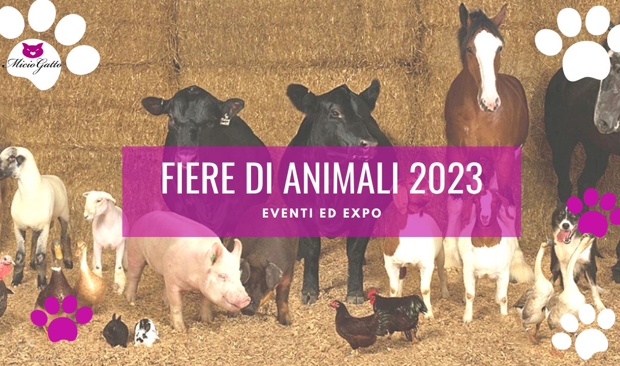 Fiere animali 2023 Calendario eventi MicioGatto.it