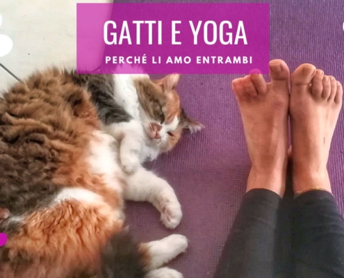 gatti yoga