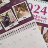 Calendario di MicioGatto 2024 orizzontale 21*29 