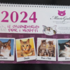 Calendario di MicioGatto 2024 orizzontale 21*29 